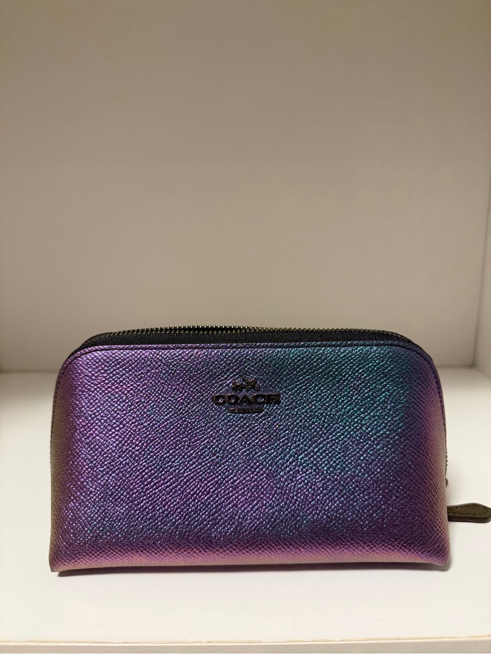 Coach Iridescent Blue-Purple Zip Cosmetic Case